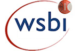 WSBI Wharton Sports Business Initiative